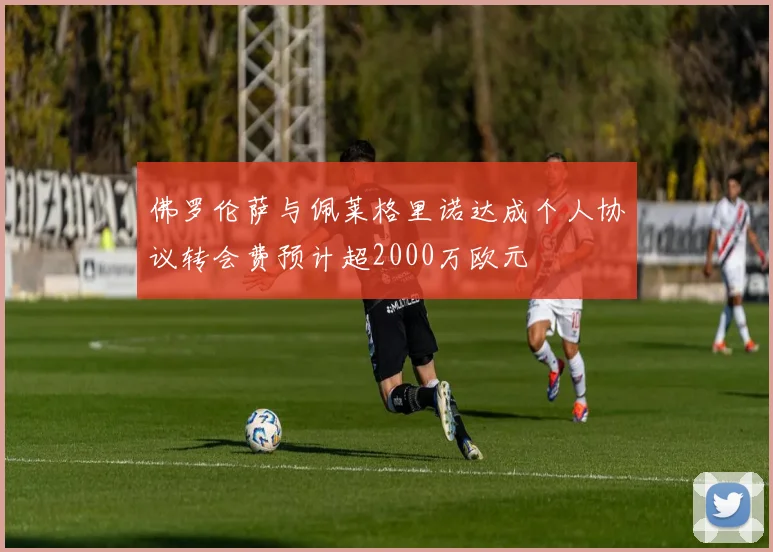 佛罗伦萨与佩莱格里诺达成个人协议转会费预计超2000万欧元