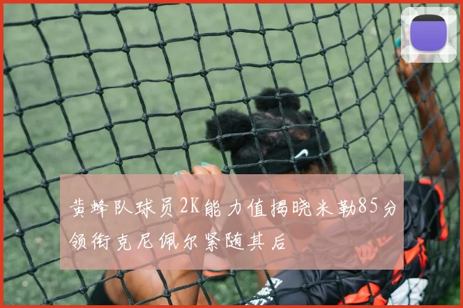 黄蜂队球员2K能力值揭晓米勒85分领衔克尼佩尔紧随其后