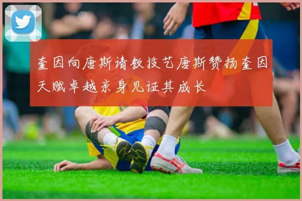 奎因向唐斯请教技艺唐斯赞扬奎因天赋卓越亲身见证其成长