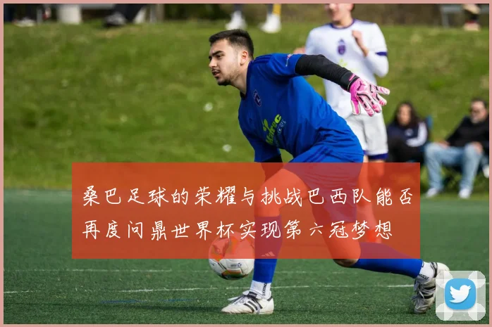 桑巴足球的荣耀与挑战巴西队能否再度问鼎世界杯实现第六冠梦想